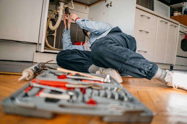 Best Emergency Plumber  in Palmview South, TX