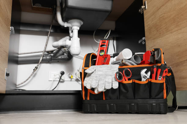 Best Plumbing Services Near Me  in Palmview South, TX